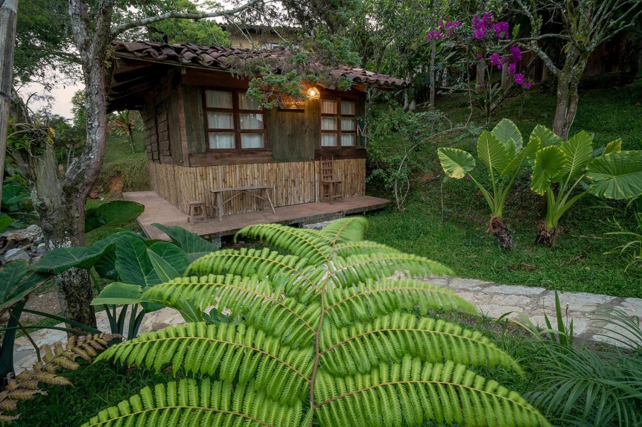 Cabanas Los Achicuales Cuetzalán del Progreso Dış mekan fotoğraf